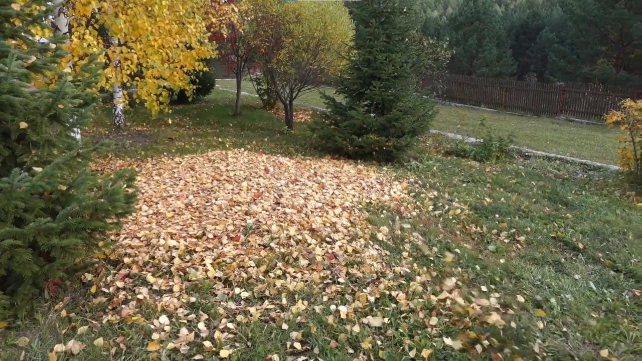 https://smolensk.mslandshaft.ru/storage/app/uploads/public/642/ac5/f22/642ac5f2293e2935715739.jpg