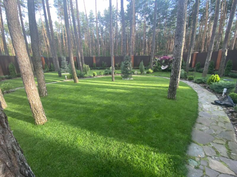 https://smolensk.mslandshaft.ru/storage/app/uploads/public/642/ac8/b04/642ac8b0465e0893828719.jpg
